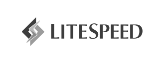 LiteSpeed Web Server