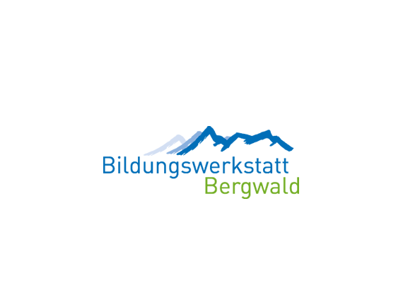 Typo3 Hosting: Bergwald.ch