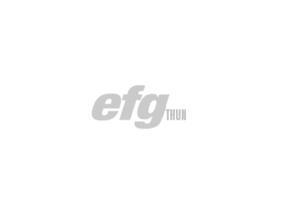 Typo3 Hosting: Efg-thun.ch