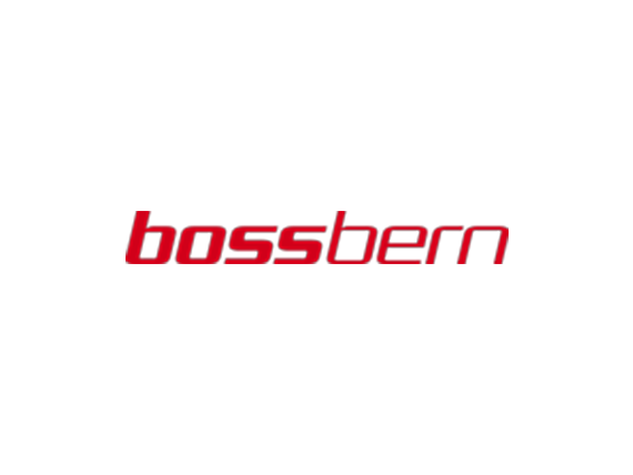 Wordpress Hosting: bossbern.ch