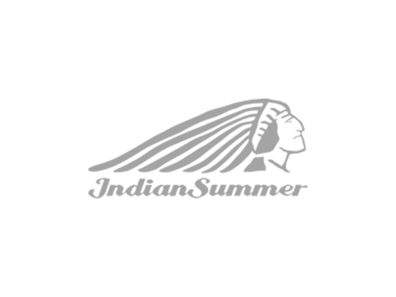 Wordpress Hosting: indiansummer.ch